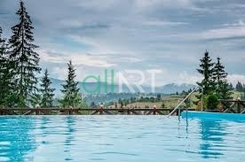 Предпочитаете отдых в отеле с бассейном или отеле в горах